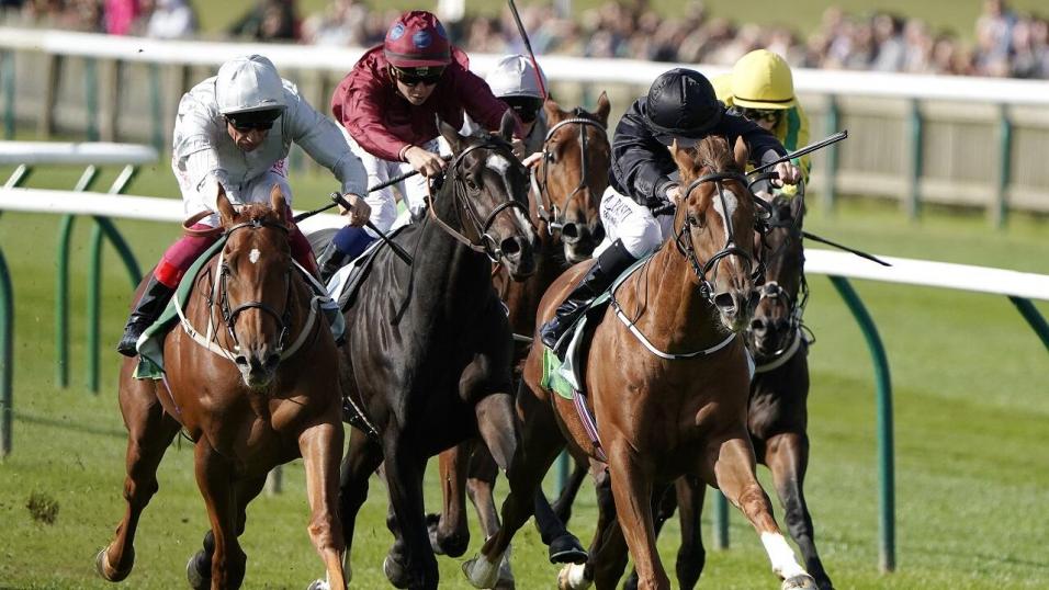 Millisle running at Newmarket